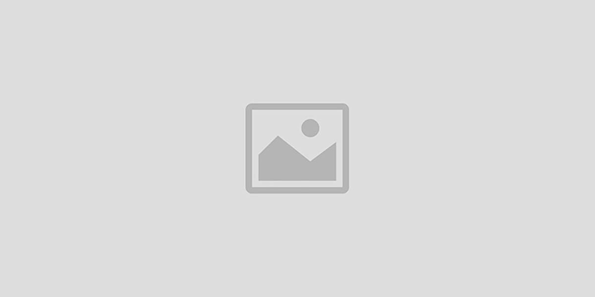 爱卿优品跨境电商选品服务平台